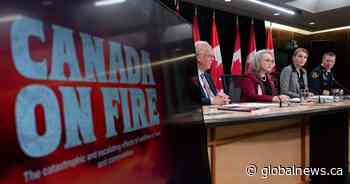 Senate committee report calls for better co-ordination of wildfire response