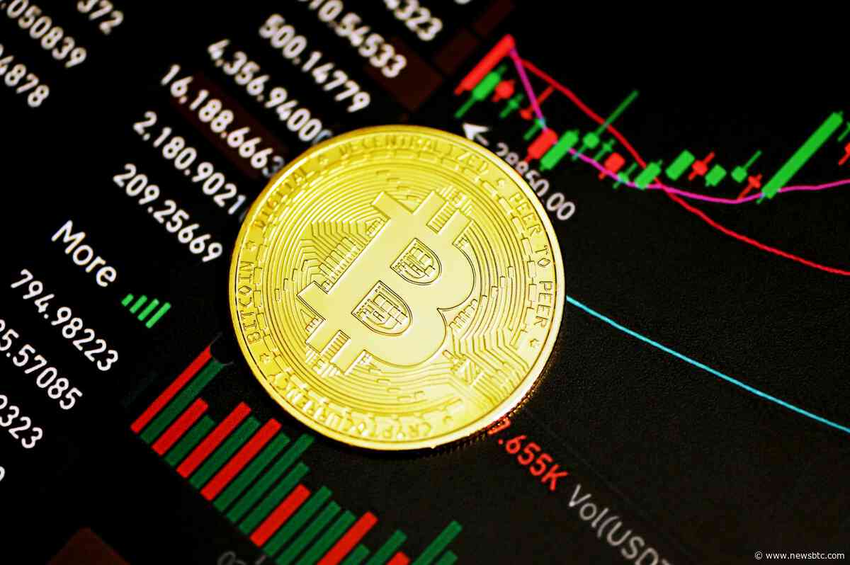 More Pain For Bitcoin? Analyst Explains Why BTC’s Bottom May Be Months Away