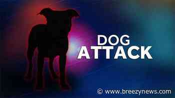 Child Bitten by Dog on Tuesday evening in Attala