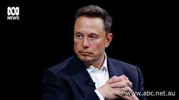 Government flags risk of relying on Elon Musk's SpaceX and Starlink