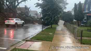 Chicago storm uproots massive tree, upends sidewalk in McKinley Park