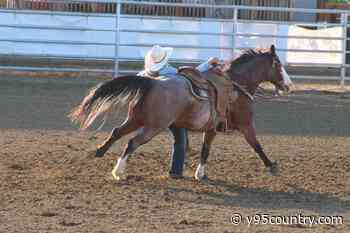 2026 Wyoming State High School Finals Rodeo Results and National Qualifiers