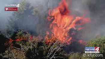 Oklahoma battles growing red cedar problem