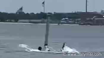 Nightmarish video shows Naval base employee being savaged by shark as he snorkeled just off shore