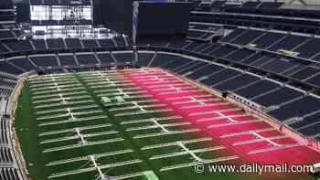 Truth about World Cup pitch problems exposed: Why America's grass could spell disaster