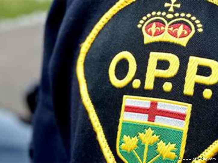 Amherstview resident charged following sexual assault investigation