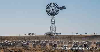 Explainer: how tight supply is overriding soft sheep meat export demand