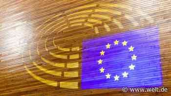 Rekord-Lobbyismus in der EU: Konzerne erhöhen Lobby-Ausgaben um fast 50 Prozent seit 2020
