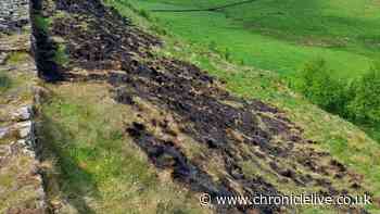 Urgent warning issued to visitors after firefighters tackle blazes at Hadrian's Wall