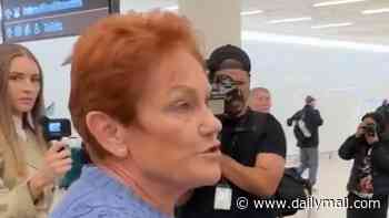 Pauline Hanson loses it at Channel Nine reporter and demands an apology over 'stupid' question at airport