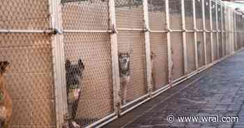 Petition demands accountability at Harnett County Animal Shelter
