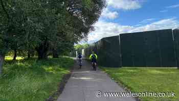 Huge green walls erected around Cardiff park ahead of major event