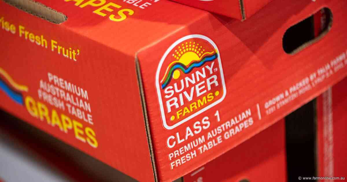 Administrators to sell one of Australia's largest table grape operations