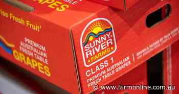 Administrators to sell one of Australia's largest table grape operations