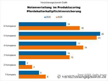 Die besten Pferdehalterhaftpflichtpolicen im Urteil von Ascore