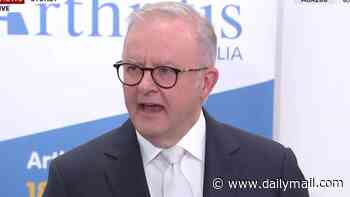 The gloves are off: Albo launches scorched earth attack on Pauline Hanson - and exposes why he is against EVERYTHING she stands for