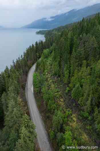 B.C. murder suspect says he attempted suicide after victim 'slipped' down embankment