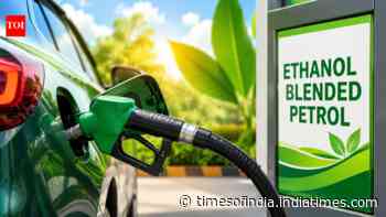 India slashes excise duty on ethanol-blended petrol: Key details