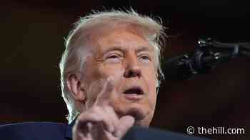 Trump calls on Republicans to pass third reconciliation bill that includes Save America Act