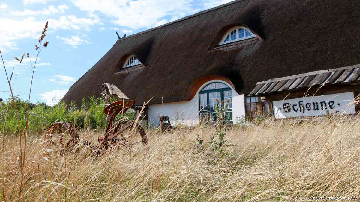 Hoffnung für Lost Place in Wolfsburg: Endlich ein tragfähiger Landleben-Plan?