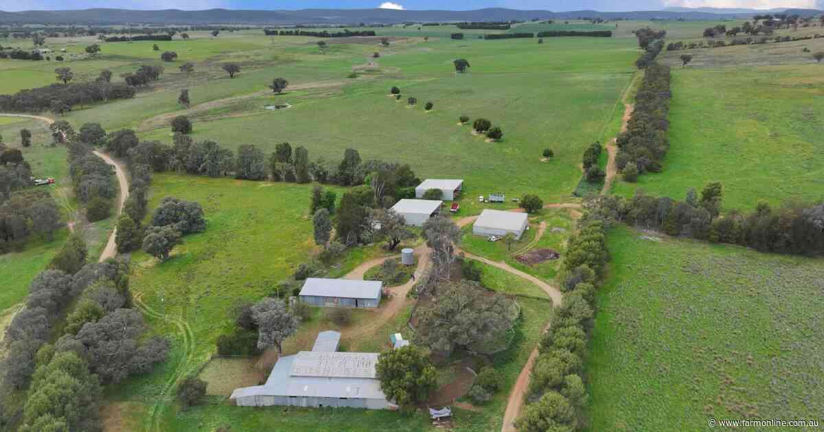 Moura well-balanced grazing and farming country in a tightly held valley