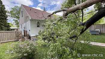 Power outage rolls into 2nd night for some as Manitoba Hydro continues restoring electricity
