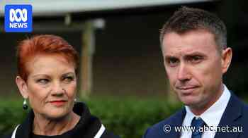 Hanson adviser says One Nation 'stole' donation slogan from Sky News host — as it happened