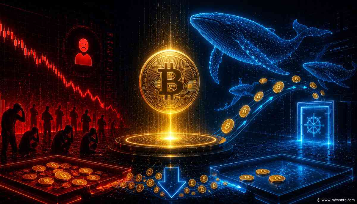 Bitcoin Whales Bought The $60K Dip As Retail Capitulated – Over 11,000 BTC Leave Exchanges