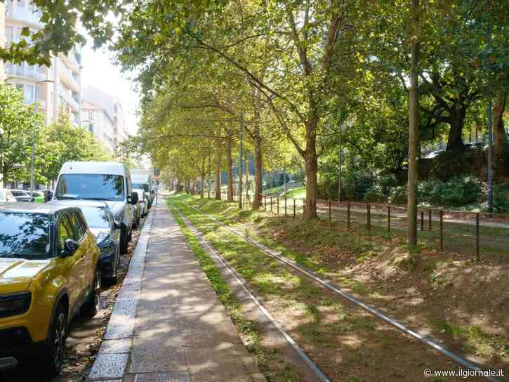 Ambientalisti contro la giunta. E la green week diventa "fake"