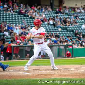 Goldeyes stopped in tracks by Railroaders