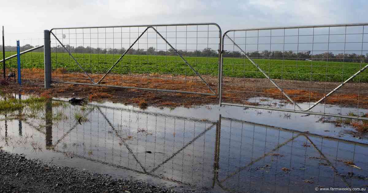 Multiple cold fronts bring strong rainfall totals across Mid West region