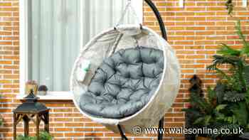 'My comfort zone' shoppers love 'perfect' hanging egg chair now £100 in double deal