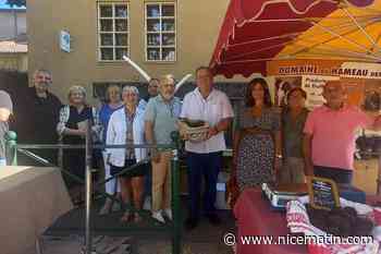 « Certains la préfèrent à la noire » : chaque mercredi, cette commune du Var devient la capitale de la truffe blanche d’été
