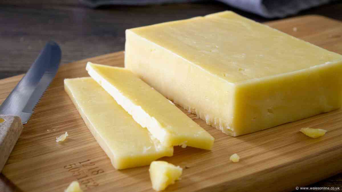 Supermarket own-brand cheddar cheese UK's best - beats Cathedral City