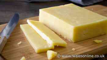 Supermarket own-brand cheddar cheese UK's best - beats Cathedral City