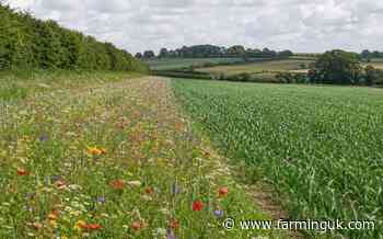 Farm groups warn £240m SFI budget may fall short of demand