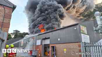 Animals die in blaze at soft play centre