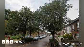 Residents appalled by sudden removal of four trees