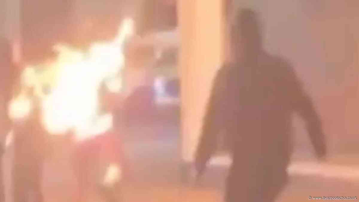 Protester sets himself alight with petrol bomb as clashes with police rage on in Belfast