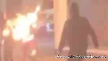 Protester sets himself alight with petrol bomb as clashes with police rage on in Belfast