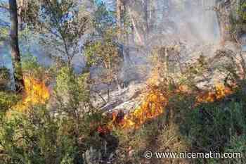 Conditions météo, moyens engagés… : dans la vallée de la Vésubie, le feu de forêt de Roquebillière a atteint une dizaine d’hectares et n’est pas encore fixé