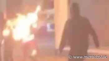 Horror as Northern Ireland rioter seen setting himself on fire with petrol bomb