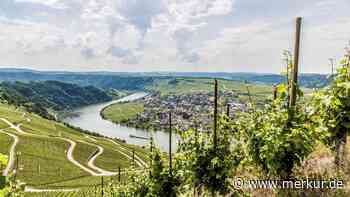 Das sind die schönsten Weinstraßen in Rheinland‑Pfalz