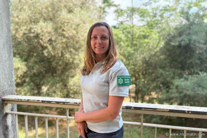 Réserve naturelle de la plaine des Maures : après le traumatisme de l’incendie de 2021, place à une « écologie de la réconciliation »