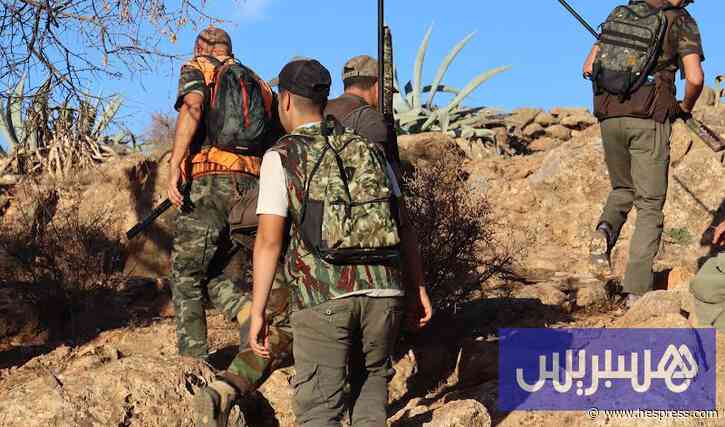 المغاربة يقنصون 21 ألف خنزير بري