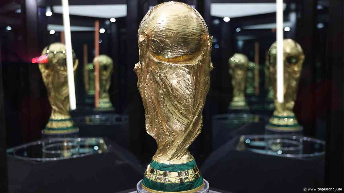Das Geschäft mit der Fußball-WM: Wer gewinnt, wer verliert