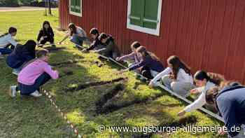 Bunte Blumenvielfalt zum Diversity-Tag