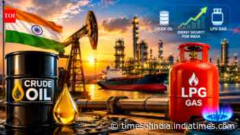 'LPG well covered, crude not a problem': How much energy supplies is India left with?