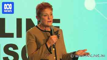 Pauline Hanson emotional as she speaks on brief stint in jail