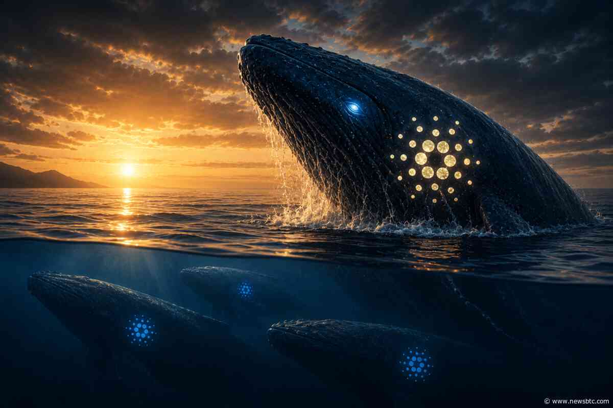 Dormant Cardano Whales Suddenly Come Alive: Is A Turning Point Near?